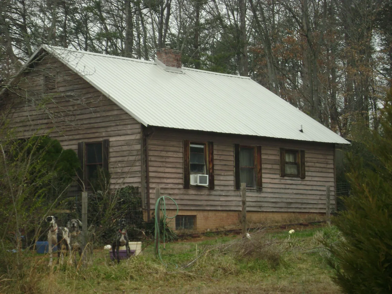 White metal roof on an old wood sided farmhouse, from a Asphalt Shingle Roof Repair job in Franktown